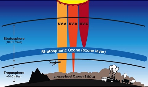 Figura 4: La capa delgada de gas de ozono que sirve como la barrera que protege de la luz ultravioleta.