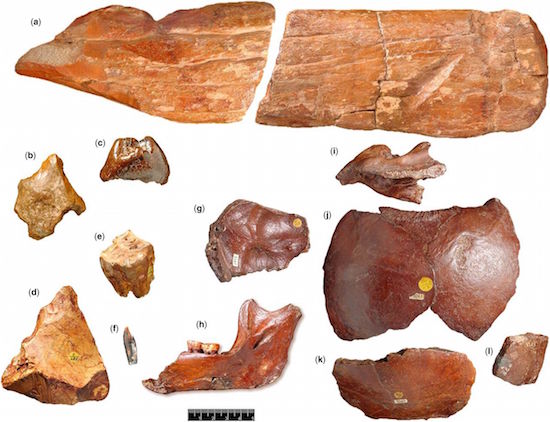 Figure 6: The artifacts retrieved from the Piltdown site, including the (a) bone implement (also known as 'the cricket bat'), (b) an eolith, (d) palaeolith, and (c) fragments of Mastodon (e) and horse teeth.
