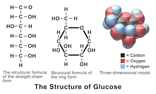 Figure 2: The structure of glucose. (From: Blausen.com staff (2014). 