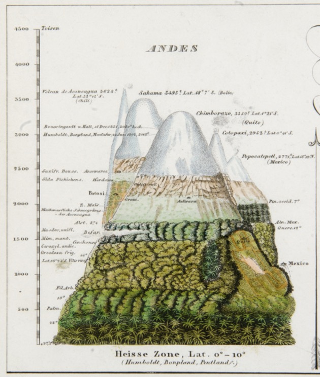 Figure 2: Humboldt’s mapping of vegetation zones in the Andes published in Berghaus, 1851, Physikalischer Atlas.