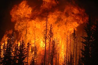 Figure 1: A controlled fire in Alberta, Canada, set to create a barrier for future wildfires.