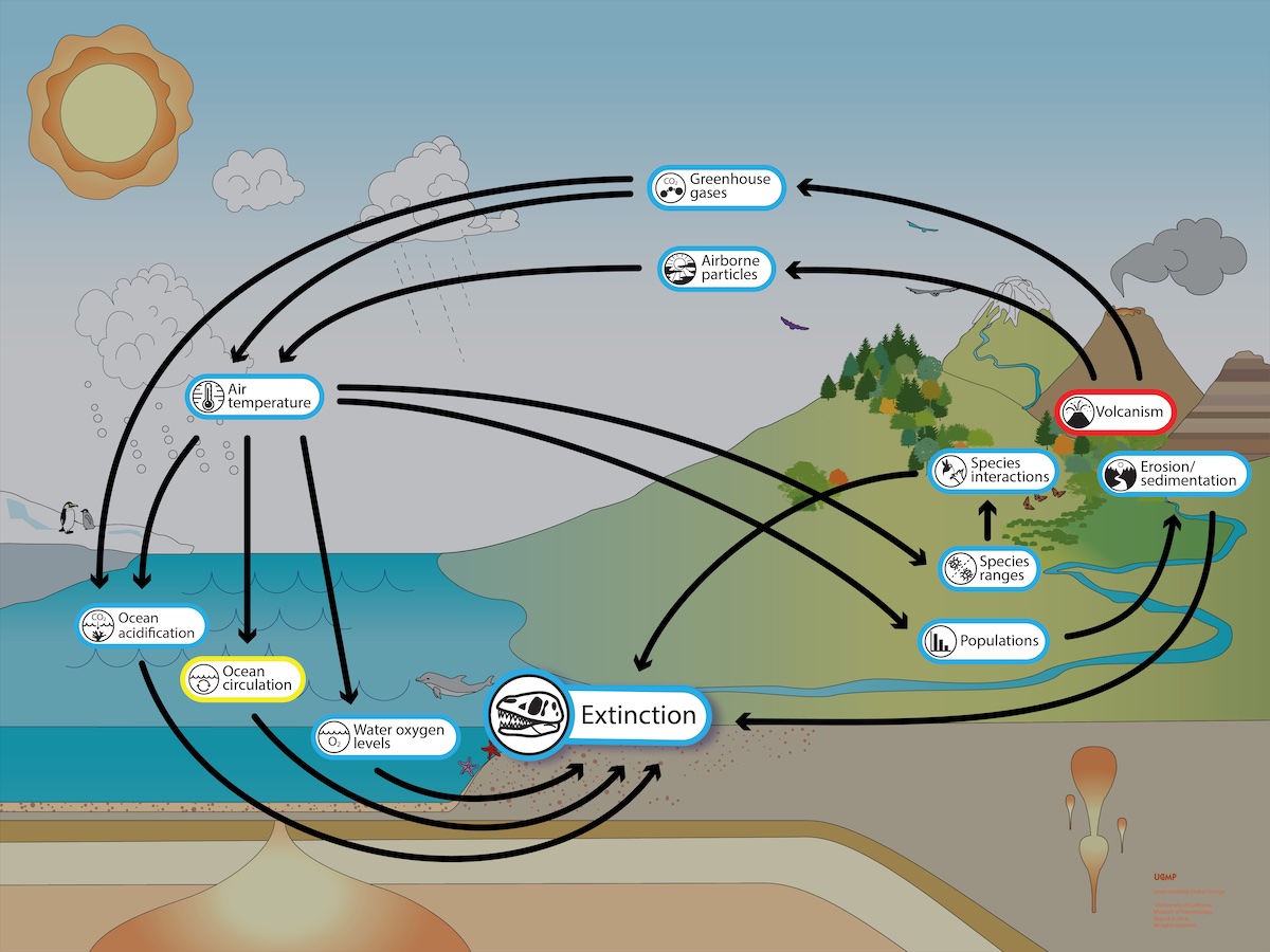 Figure 5: Cascade of impacts from end-Permian volcanic eruptions.