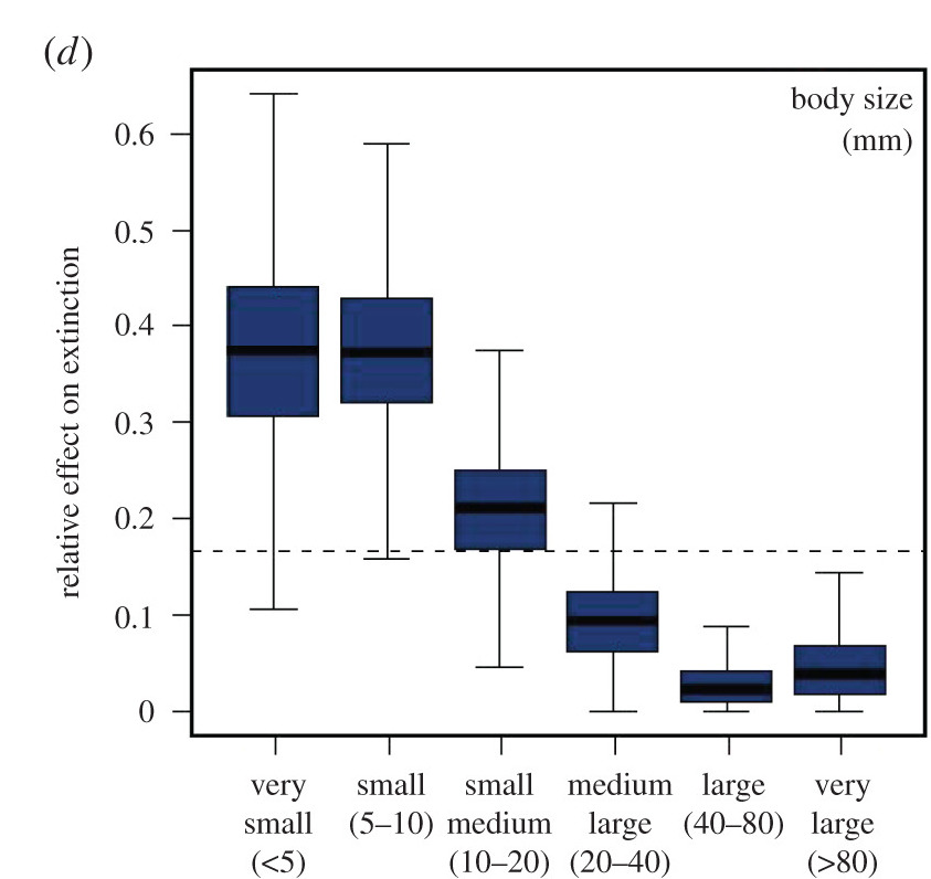 Figure 2: Body sizes of Caribbean mollusks plotted against their probability of extinction over the past 23 million years using data from fossils. 