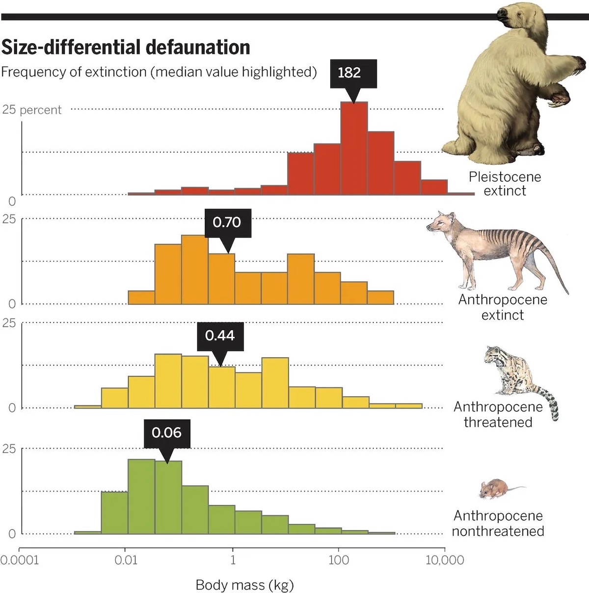 Figure 3: Body sizes of terrestrial mammals plotted against the proportion going extinct (boxed numbers are medians).  