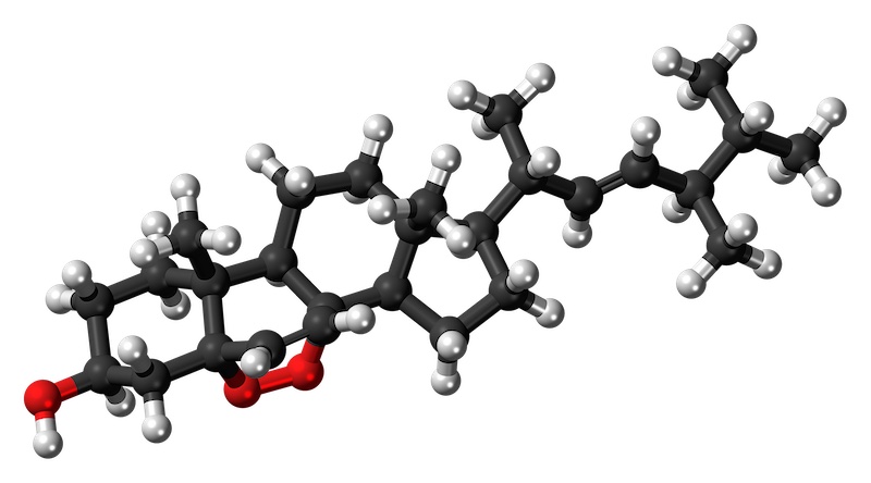 Figure 13: The 3-D model shows an example of a carbon-based molecule. Black spheres represent carbon atoms, which form the structural backbone. Red spheres represent oxygen atoms. White spheres represent hydrogen atoms.