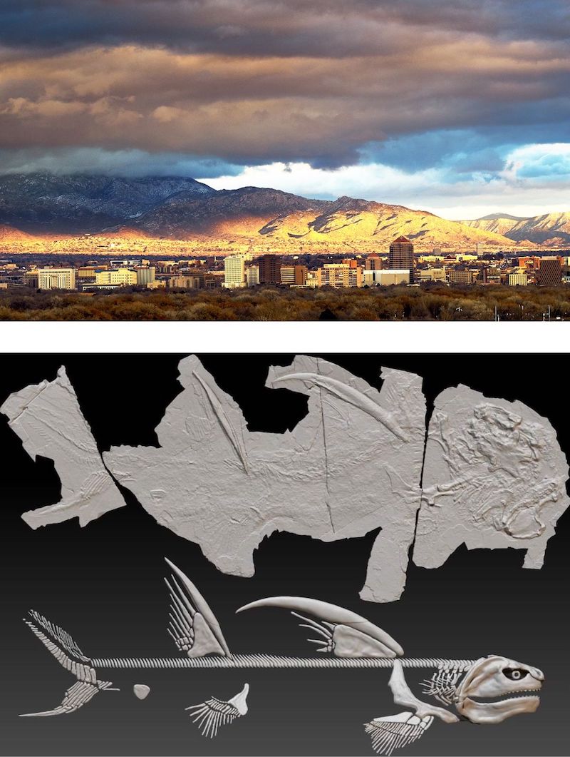 Figure 1: Albuquerque, New Mexico (top); Fossil found in Manzano Mountains (bottom).