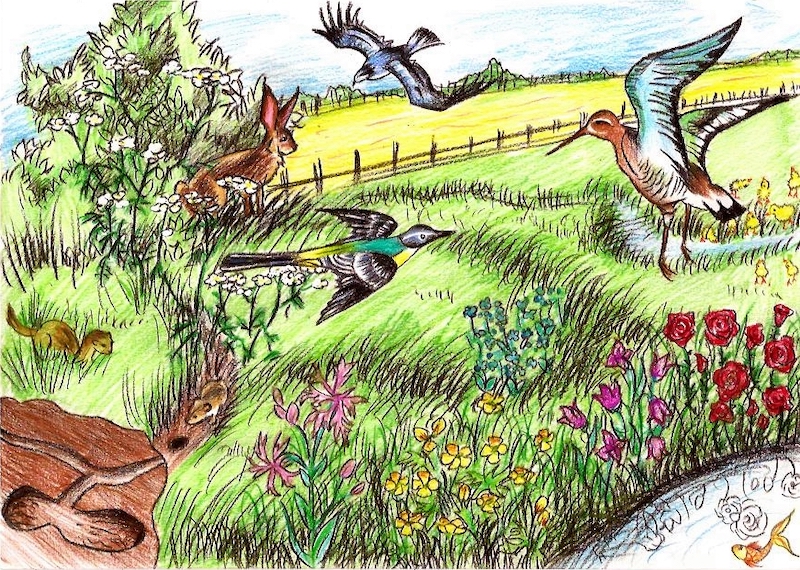 Figure 5: Depiction of meadow ecosystem.