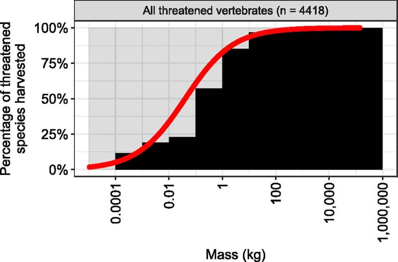 Ripple et al., 2017